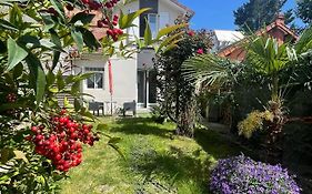 The Little House - Non Fumeur